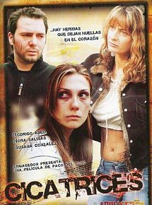 Affiche de Cicatrices, film à voir en streaming sur Pygargue