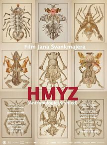 Affiche de Insect, film à voir en streaming sur Pygargue