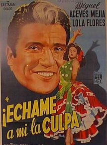 Affiche de Échame la culpa, film à voir en streaming sur Pygargue