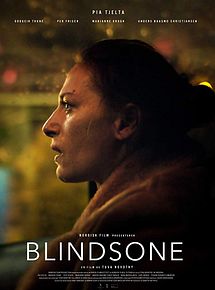 Affiche de Blind Spot, film à voir en streaming sur Pygargue