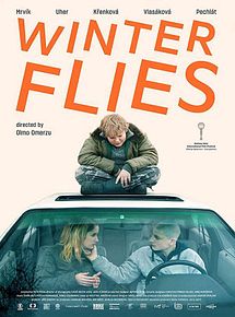 Affiche de Winter Flies, film à voir en streaming sur Pygargue