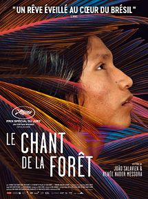 Affiche de Le Chant de la forêt, film à voir en streaming sur Pygargue