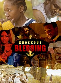 Affiche de Knock Out Blessing, film à voir en streaming sur Pygargue