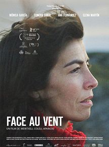 Affiche de Face au vent, film à voir en streaming sur Pygargue
