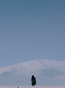 Affiche de Le Voleur de chevaux, film à voir en streaming sur Pygargue