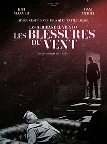 Affiche de Les Blessures du vent, film à voir en streaming sur Pygargue