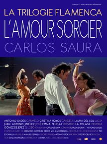 Affiche de L'Amour sorcier, film à voir en streaming sur Pygargue