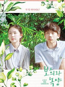 Affiche de A Boy and Sungreen, film à voir en streaming sur Pygargue
