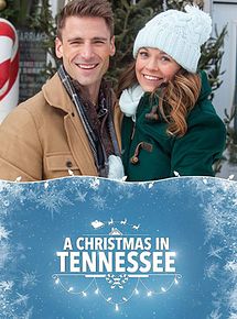 Affiche de Les Biscuits préférés du Père Noël, film à voir en streaming sur Pygargue