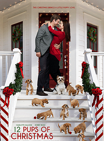 Affiche de 12 chiots pour Noël, film à voir en streaming sur Pygargue