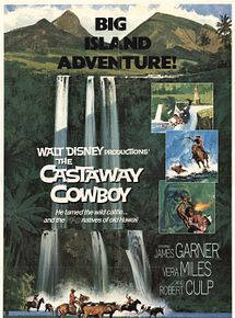 Affiche de Un Cowboy à Hawaï, film à voir en streaming sur Pygargue