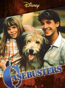 Affiche de Casebusters, film à voir en streaming sur Pygargue