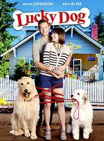 Affiche de Un chien très chanceux, film à voir en streaming sur Pygargue