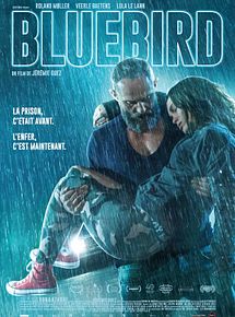 Affiche de Bluebird, film à voir en streaming sur Pygargue