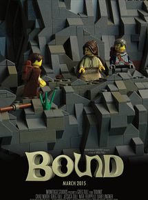 Affiche de L'aventure épique, film à voir en streaming sur Pygargue