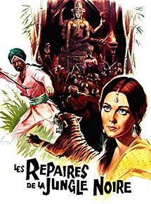 Affiche de Les Repaires de la Jungle Noire, film à voir en streaming sur Pygargue