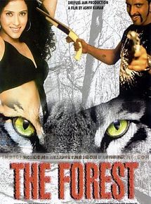 Affiche de The Forest, film à voir en streaming sur Pygargue