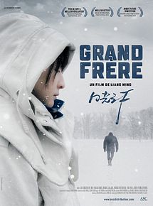 Affiche de Grand frère, film à voir en streaming sur Pygargue
