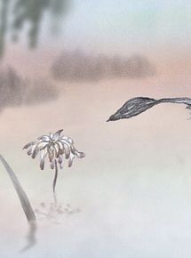 Affiche de Un oiseau qui aime une fleur, film à voir en streaming sur Pygargue