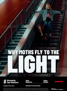 Affiche de Why Moths Fly to the Light?, film à voir en streaming sur Pygargue