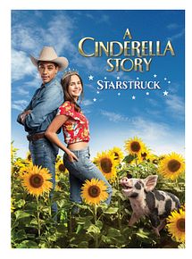 Affiche de Comme Cendrillon 6, film à voir en streaming sur Pygargue