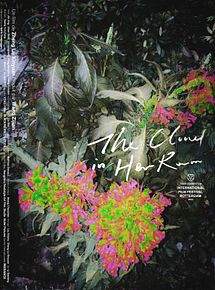 Affiche de The Cloud in Her Room, film à voir en streaming sur Pygargue