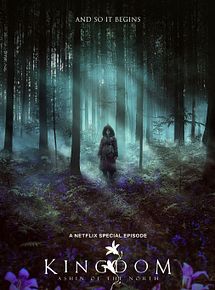 Affiche de Kingdom: Ashin of the North, film à voir en streaming sur Pygargue