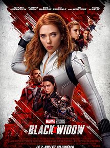 Affiche de Black Widow, film à voir en streaming sur Pygargue