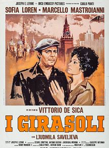 Affiche de Les Fleurs du soleil, film à voir en streaming sur Pygargue