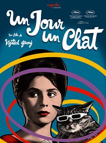 Affiche de Un Jour un chat, film à voir en streaming sur Pygargue
