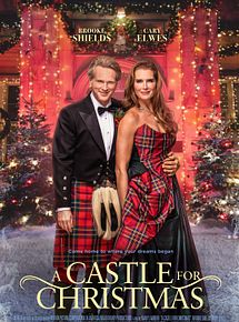 Affiche de Un Château pour Noël, film à voir en streaming sur Pygargue