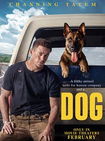 Affiche de Dog, film à voir en streaming sur Pygargue