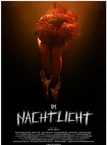 Affiche de Il vient la nuit, film à voir en streaming sur Pygargue