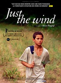 Affiche de Just the Wind, film à voir en streaming sur Pygargue