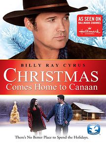 Affiche de Un Noël plein d'espoir, film à voir en streaming sur Pygargue