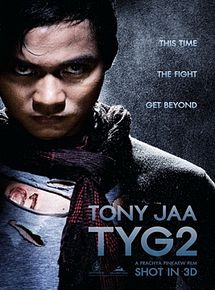 Affiche de The Protector 2, film à voir en streaming sur Pygargue
