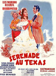 Affiche de Sérénade au Texas, film à voir en streaming sur Pygargue