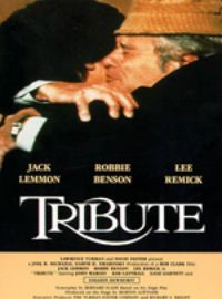Affiche de Un fils pour l'été, film à voir en streaming sur Pygargue
