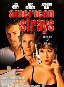 Affiche de American Strays, film à voir en streaming sur Pygargue