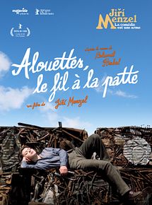 Affiche de Alouettes, le fil à la patte, film à voir en streaming sur Pygargue