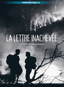 Affiche de La Lettre inachevée, film à voir en streaming sur Pygargue