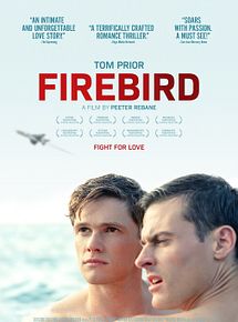 Affiche de Firebird, film à voir en streaming sur Pygargue