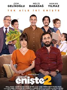 Affiche de Beau-frère 2, film à voir en streaming sur Pygargue