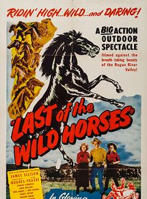 Affiche de Last of the Wild Horses, film à voir en streaming sur Pygargue