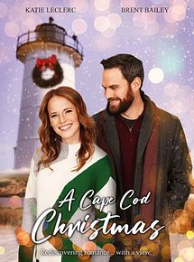 Affiche de Il faut sauver la maison de Noël, film à voir en streaming sur Pygargue