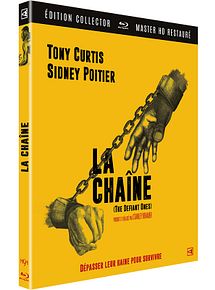 Affiche de La Chaîne, film à voir en streaming sur Pygargue