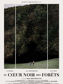 Affiche de Le Coeur noir des forêts, film à voir en streaming sur Pygargue