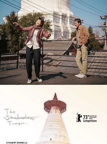 Affiche de The Shadowless Tower, film à voir en streaming sur Pygargue