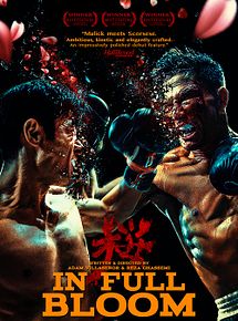 Affiche de Two Warriors : Le combat du siècle, film à voir en streaming sur Pygargue