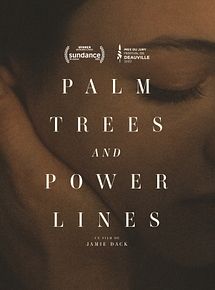 Affiche de Palm Trees and Power Lines, film à voir en streaming sur Pygargue